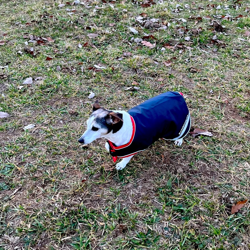 Rambo Dogwear blanket